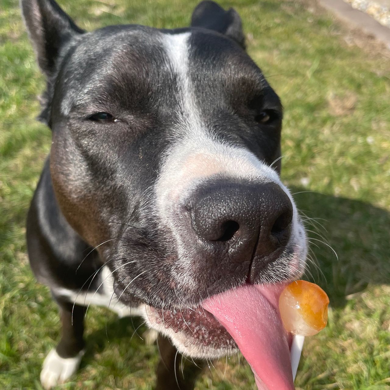 Soutěžní fotografie - Milunka,  Ostatní