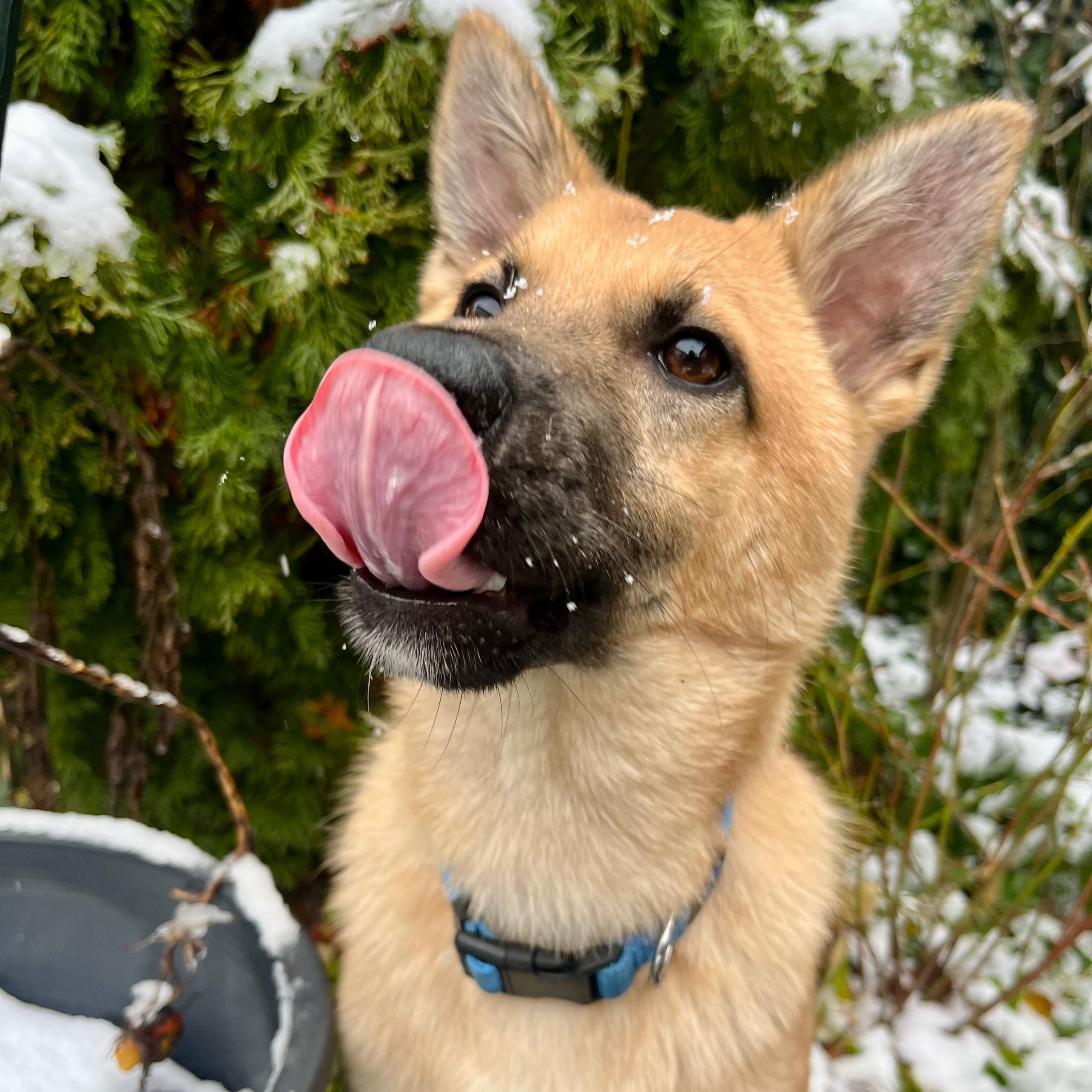 Soutěžní fotografie - Oddie,  Ostatní