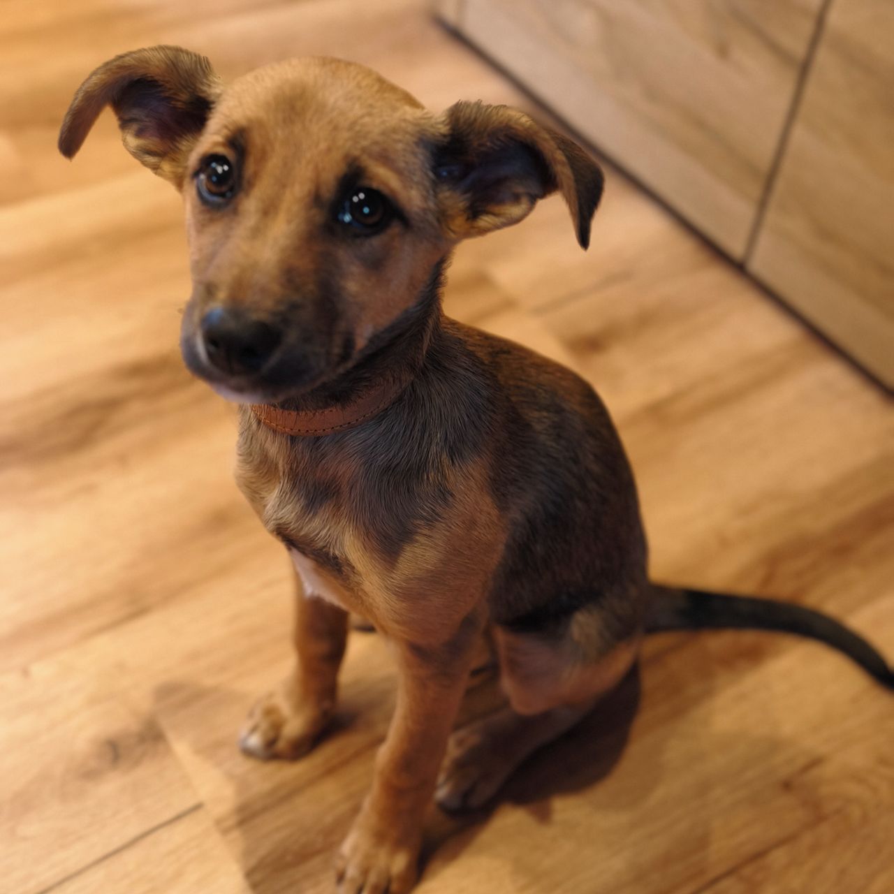 Soutěžní fotografie - Larynka,  Ostatní