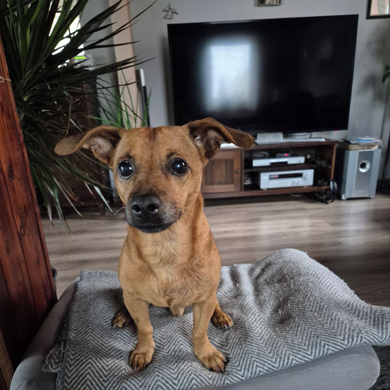 Soutěžní fotografie - Deny,  Ostatní