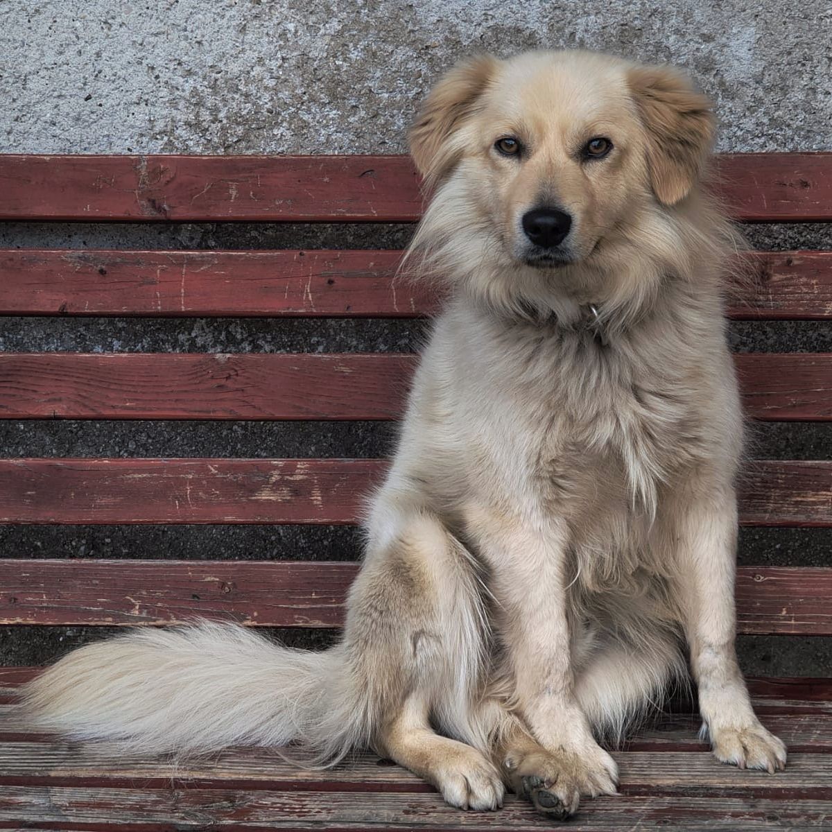 Soutěžní fotografie - Míša,  Ostatní