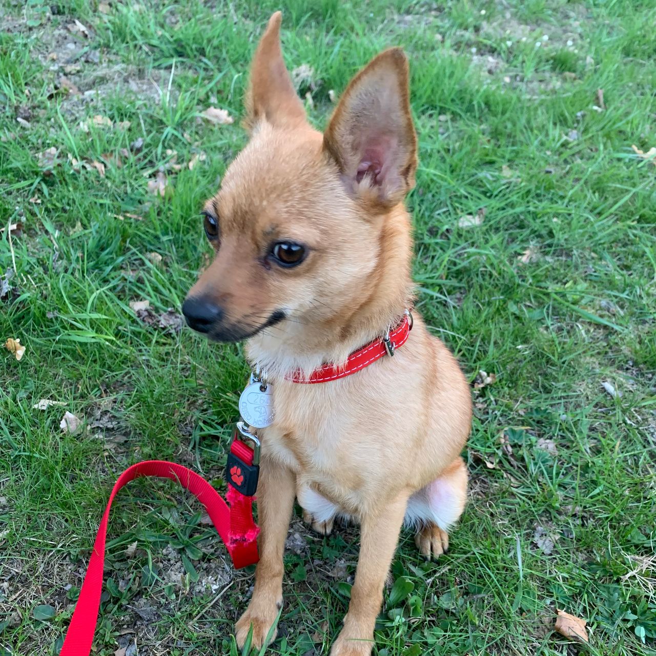 Soutěžní fotografie - Plátek,  Ostatní