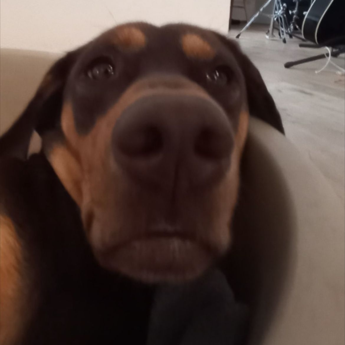 Soutěžní fotografie - Scarlet,  Ostatní