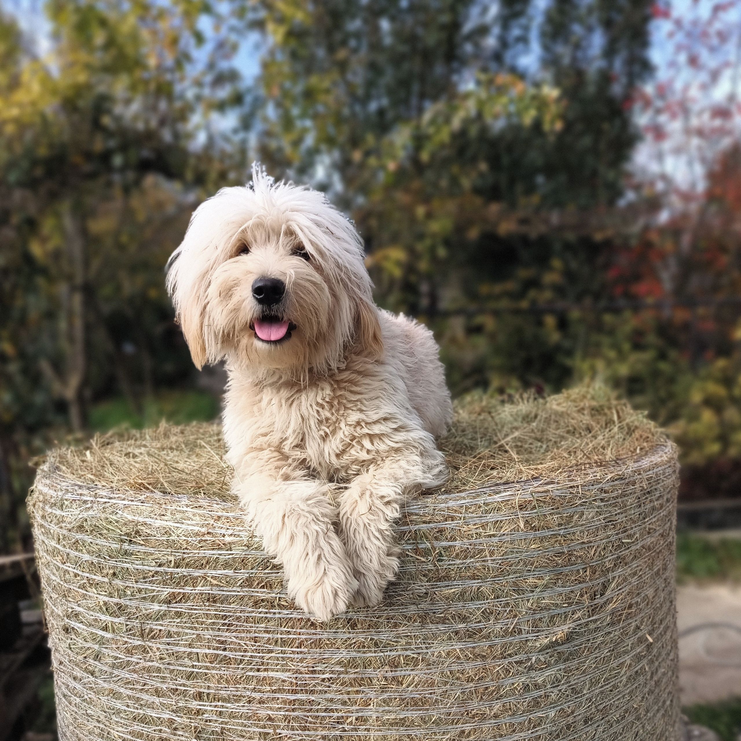 Soutěžní fotografie - Mimoň,  Ostatní