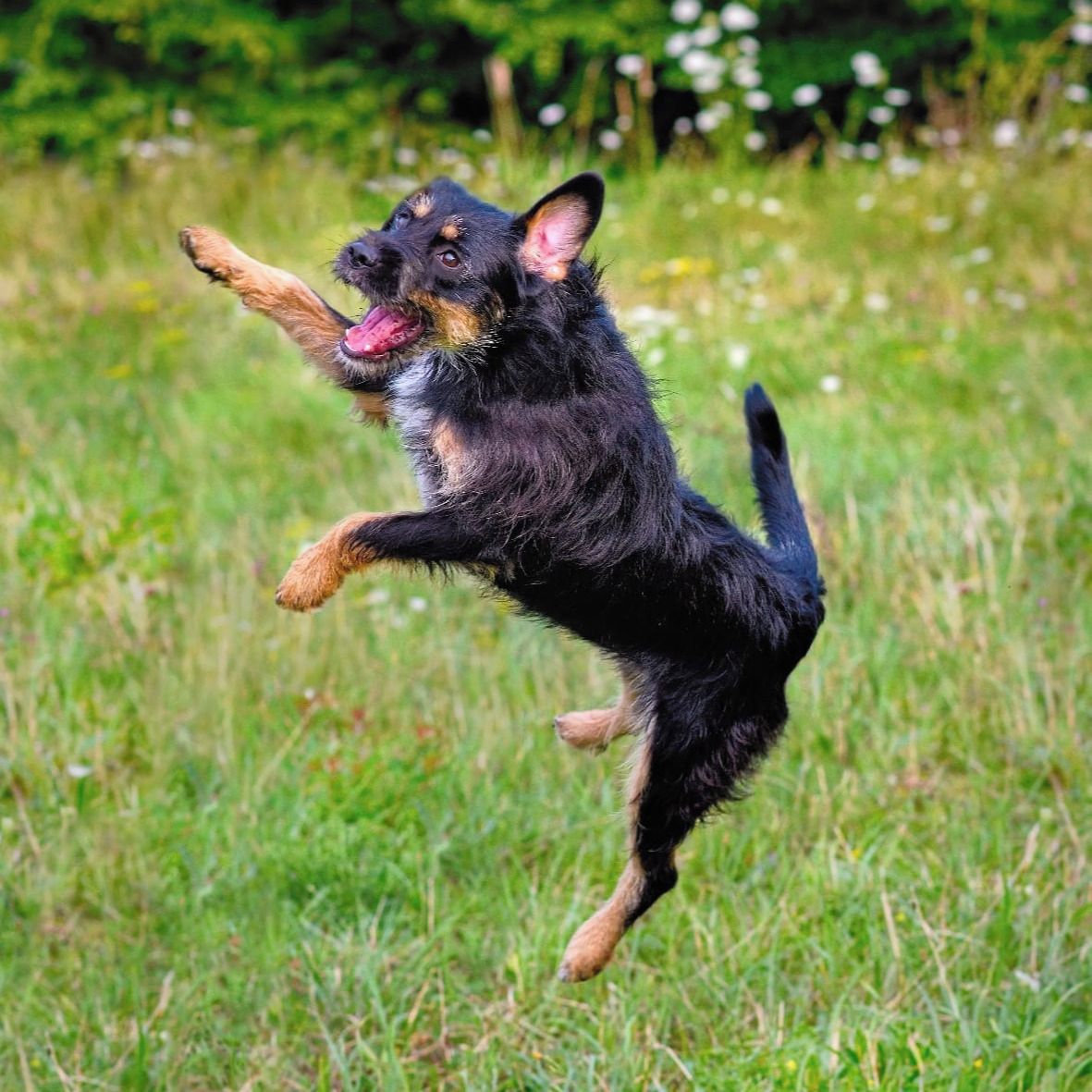 Soutěžní fotografie - Bety,  Ostatní