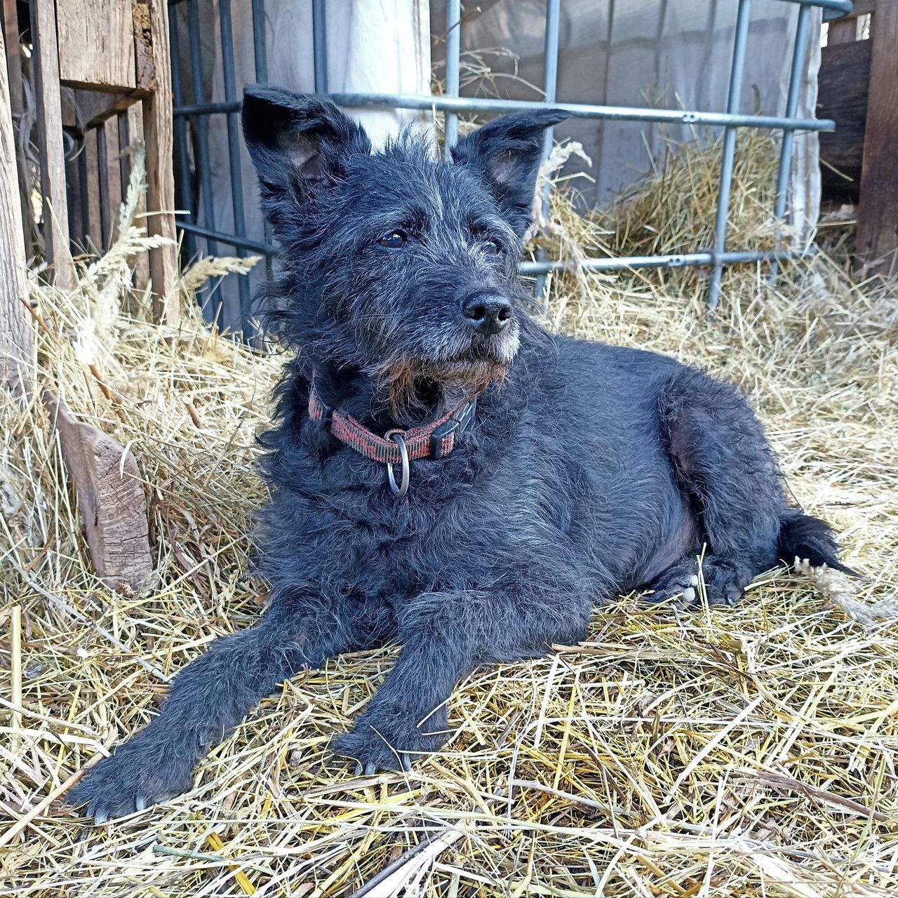 Soutěžní fotografie - Marjánka,  Ostatní