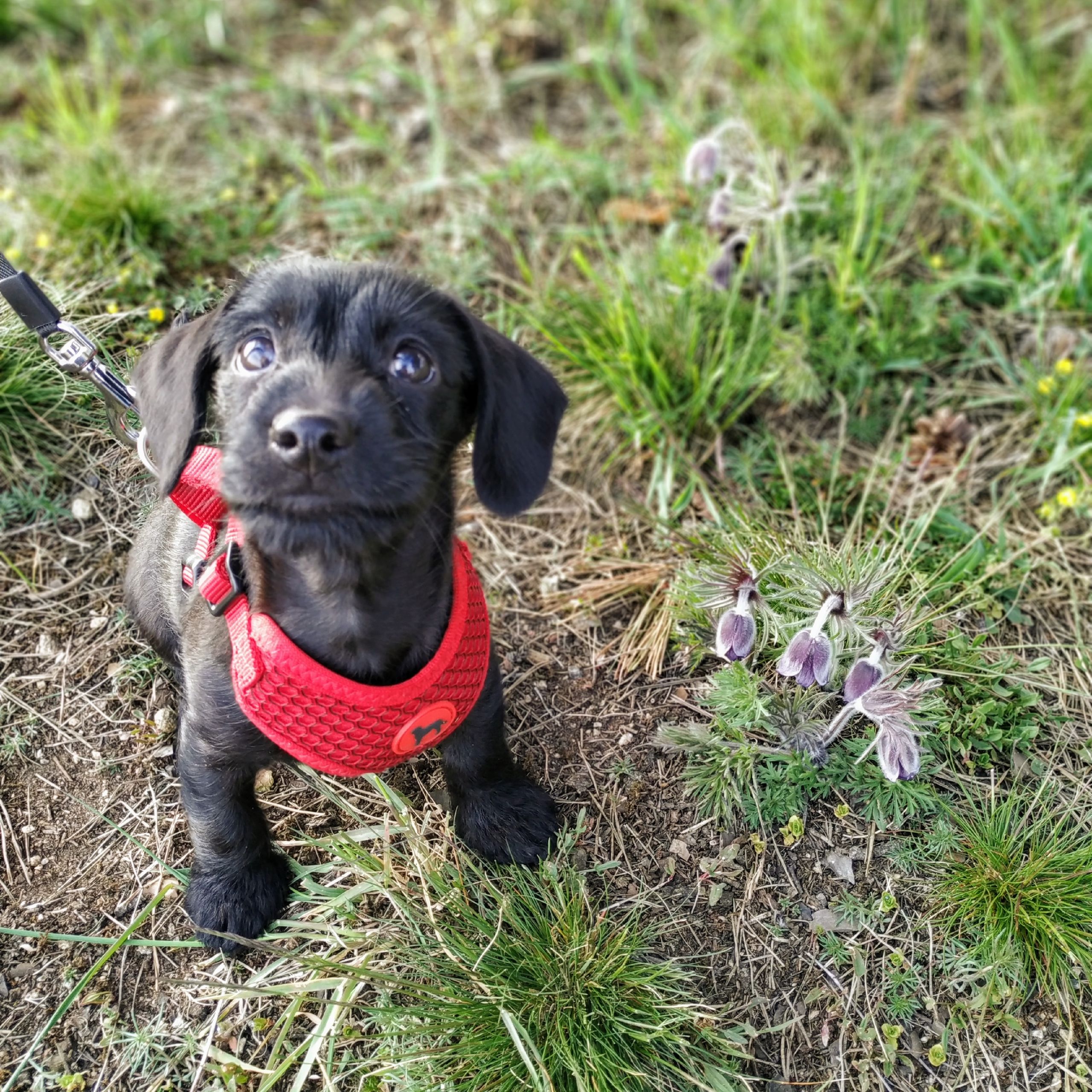 Soutěžní fotografie - Mia,  Ostatní