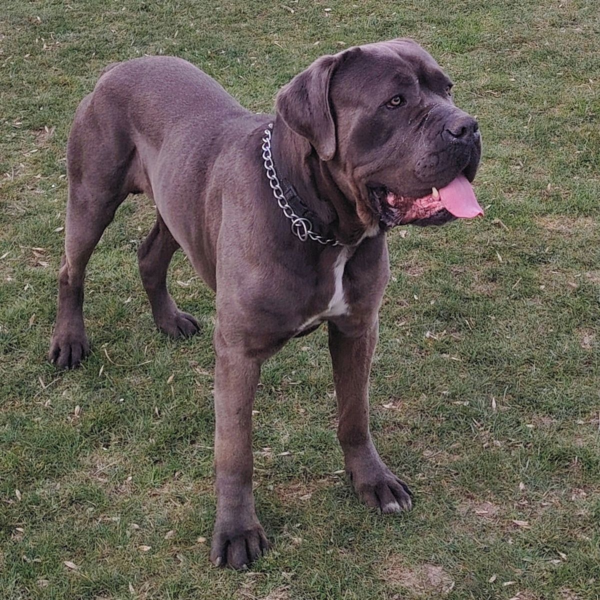 Soutěžní fotografie - Nero,  Ostatní