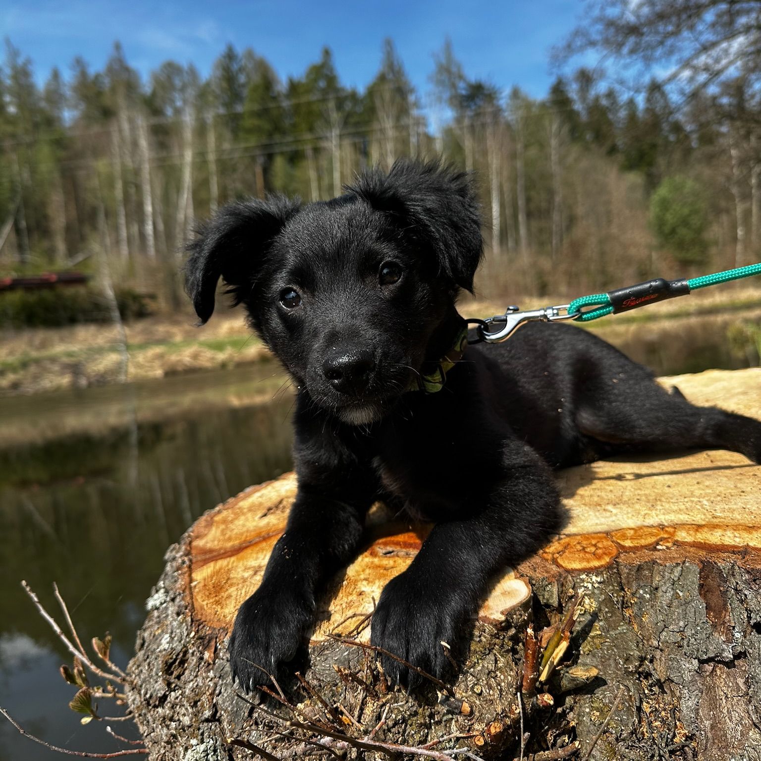 Soutěžní fotografie - Reiko,  Ostatní