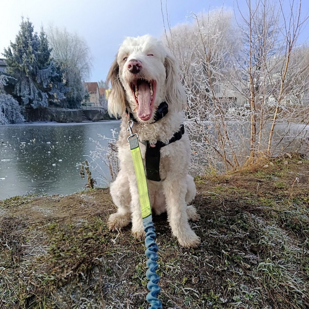 Soutěžní fotografie - Mája,  Ostatní