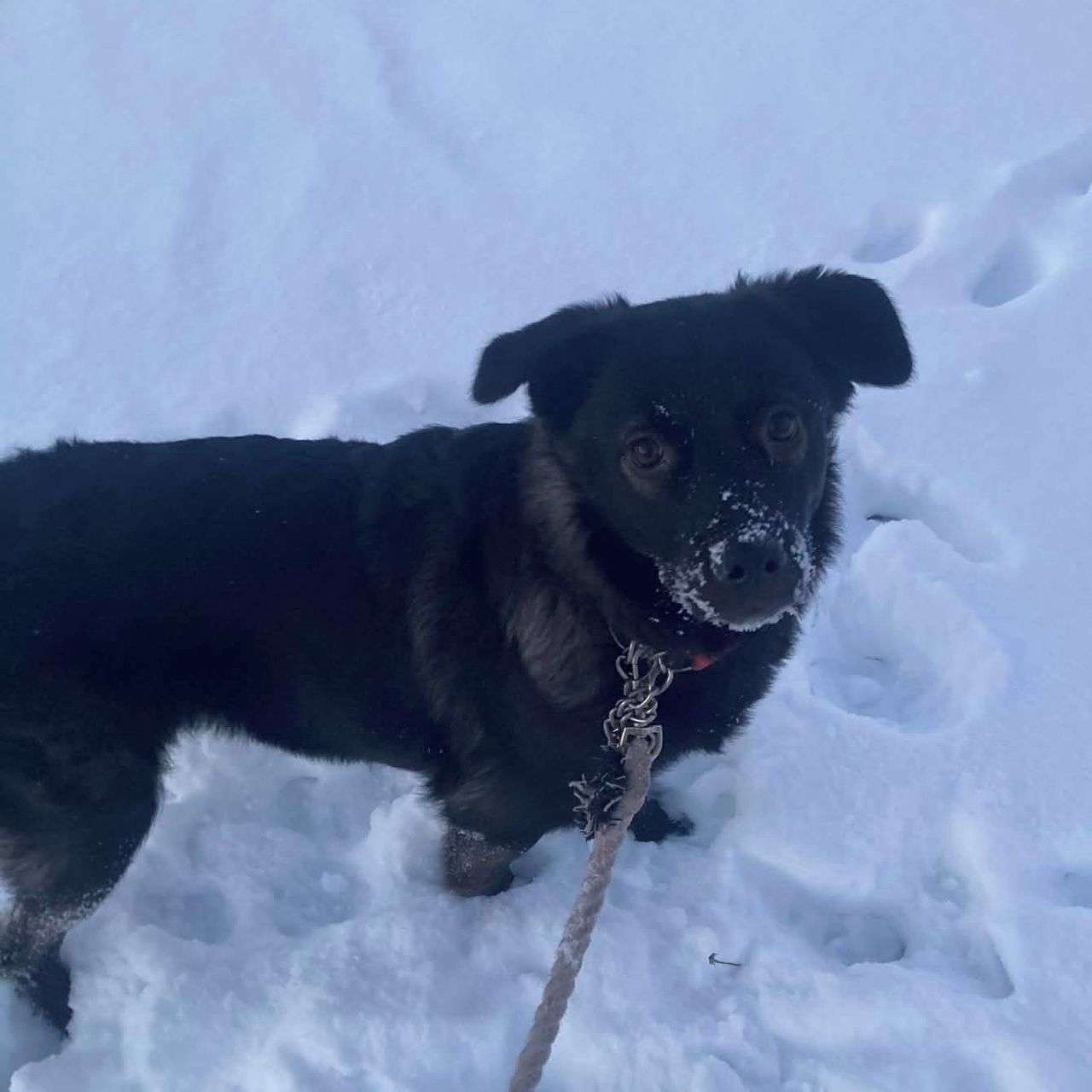 Soutěžní fotografie - Nessie,  Ostatní