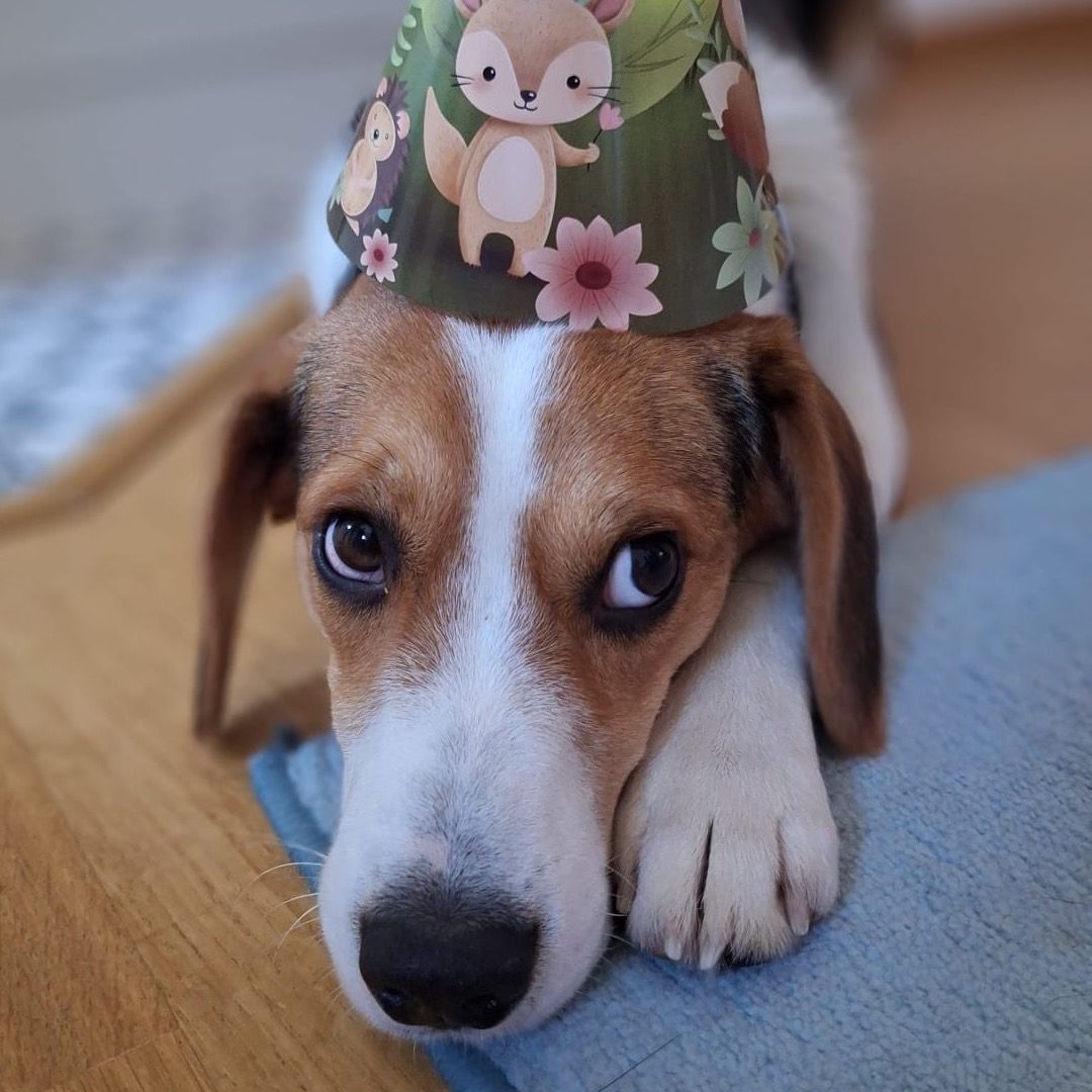 Soutěžní fotografie - Laky,  Ostatní