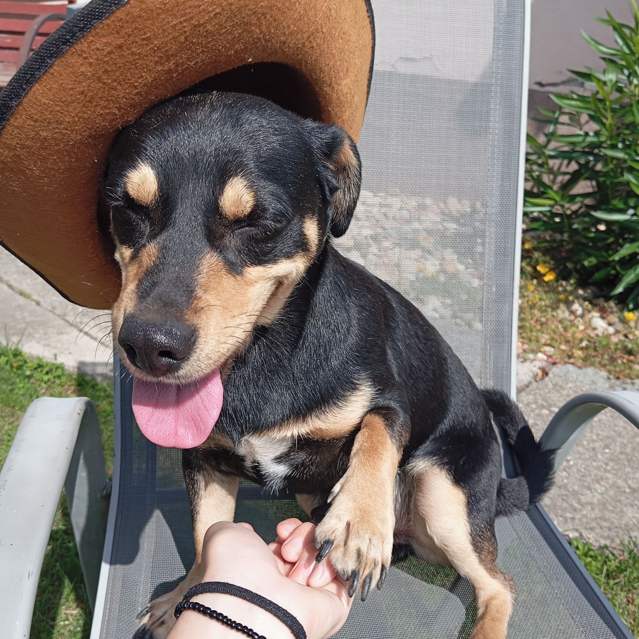 Soutěžní fotografie - Bax,  Ostatní