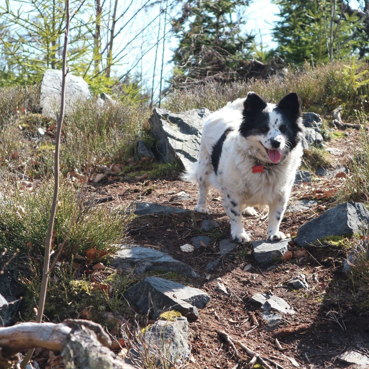 Soutěžní fotografie - Dášenka,  Ostatní