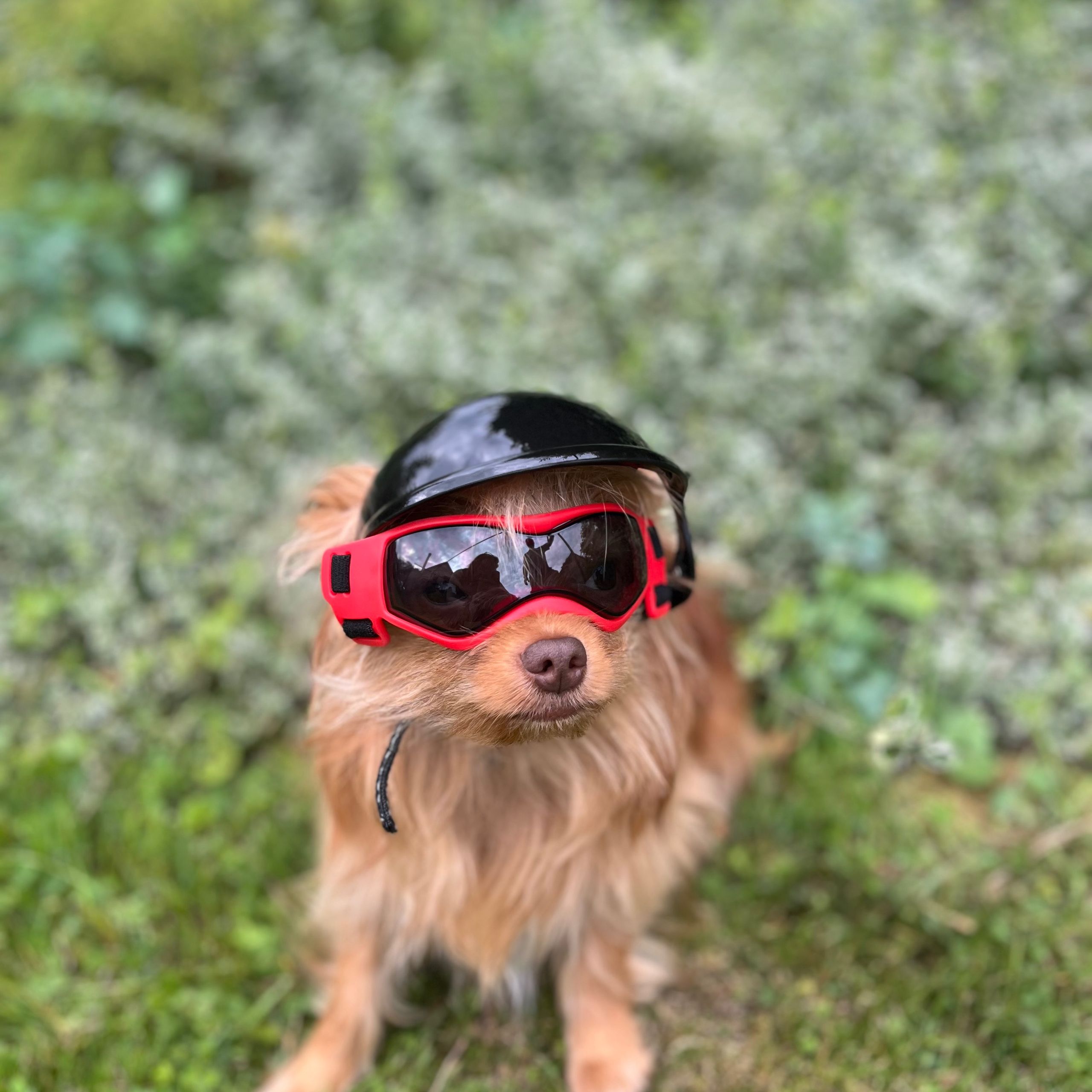 Soutěžní fotografie - Píďa,  Ostatní