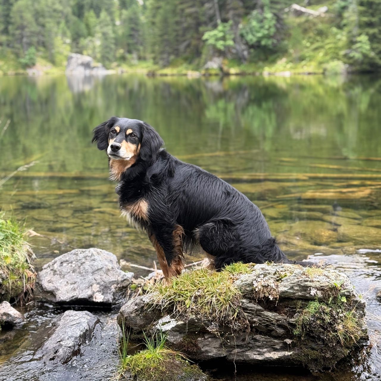 Soutěžní fotografie - Ferda,  Ostatní