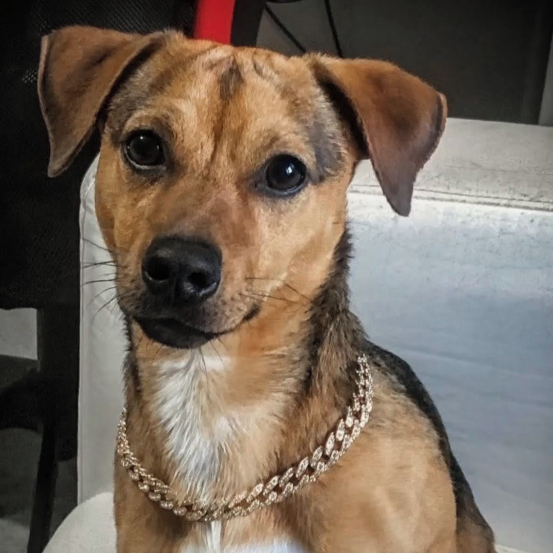 Soutěžní fotografie - Strike,  Ostatní