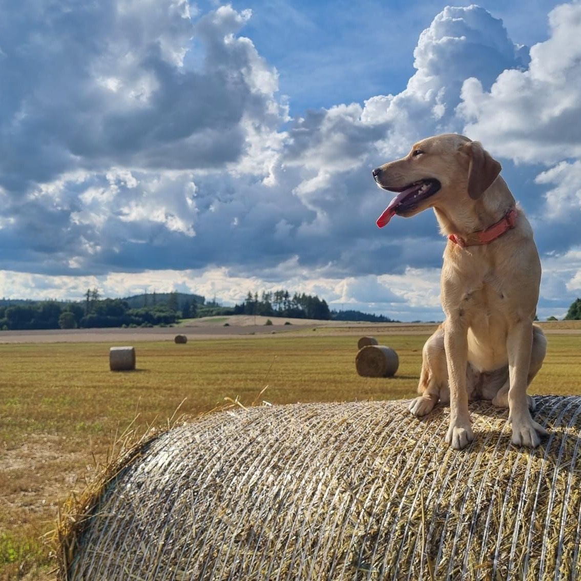 Soutěžní fotografie - Elza,  Ostatní