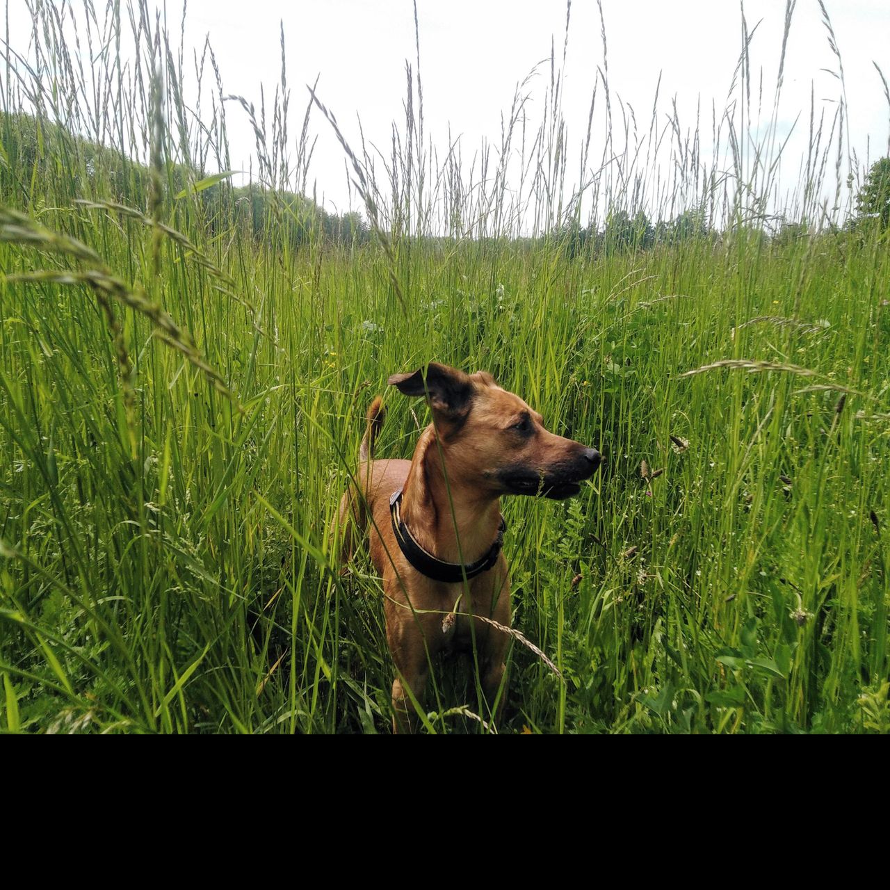 Soutěžní fotografie - Basty,  Ostatní