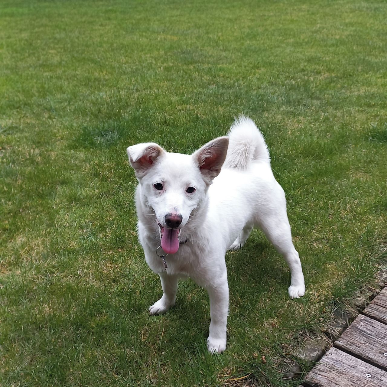 Soutěžní fotografie - Stela,  Ostatní