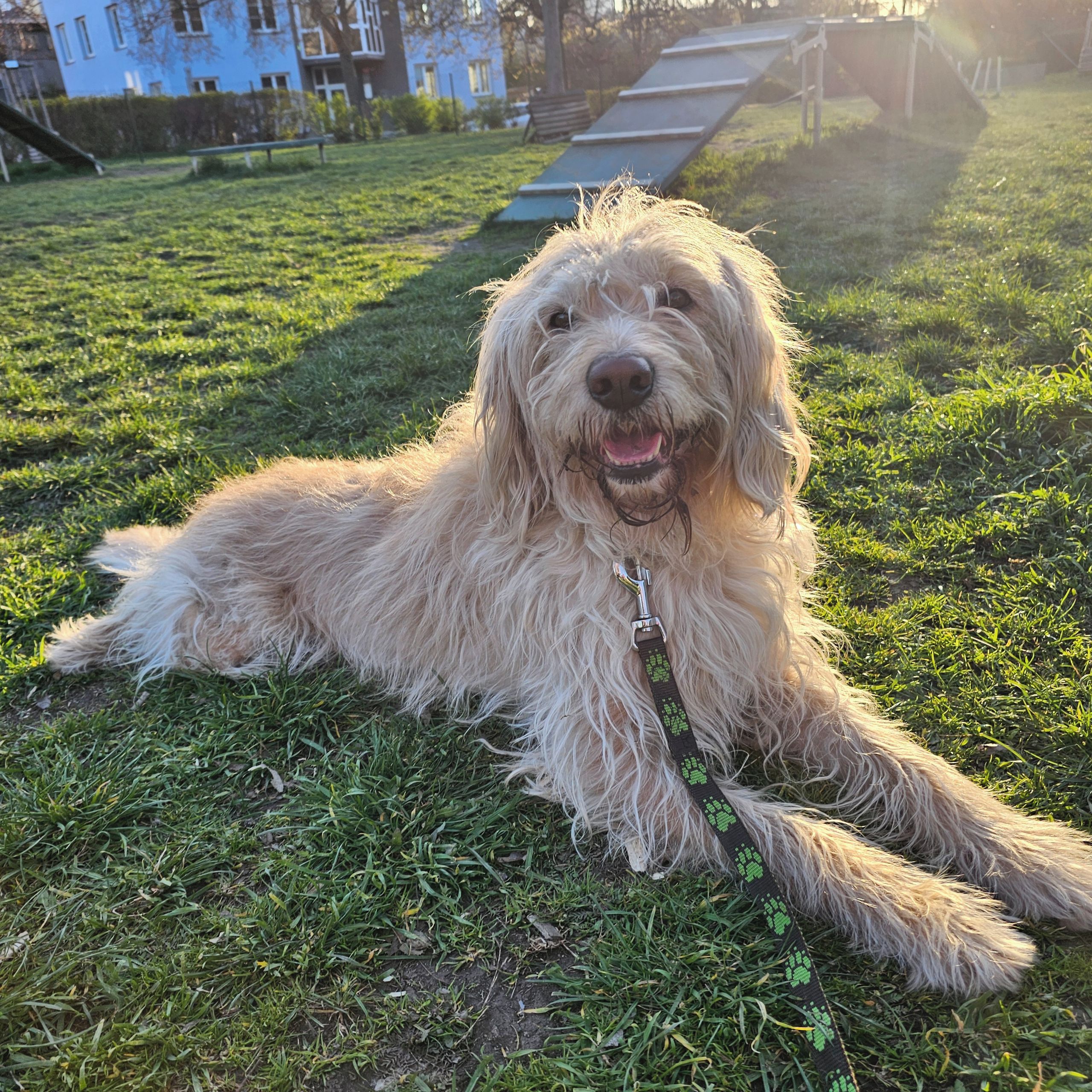 Soutěžní fotografie - Bougí,  Ostatní