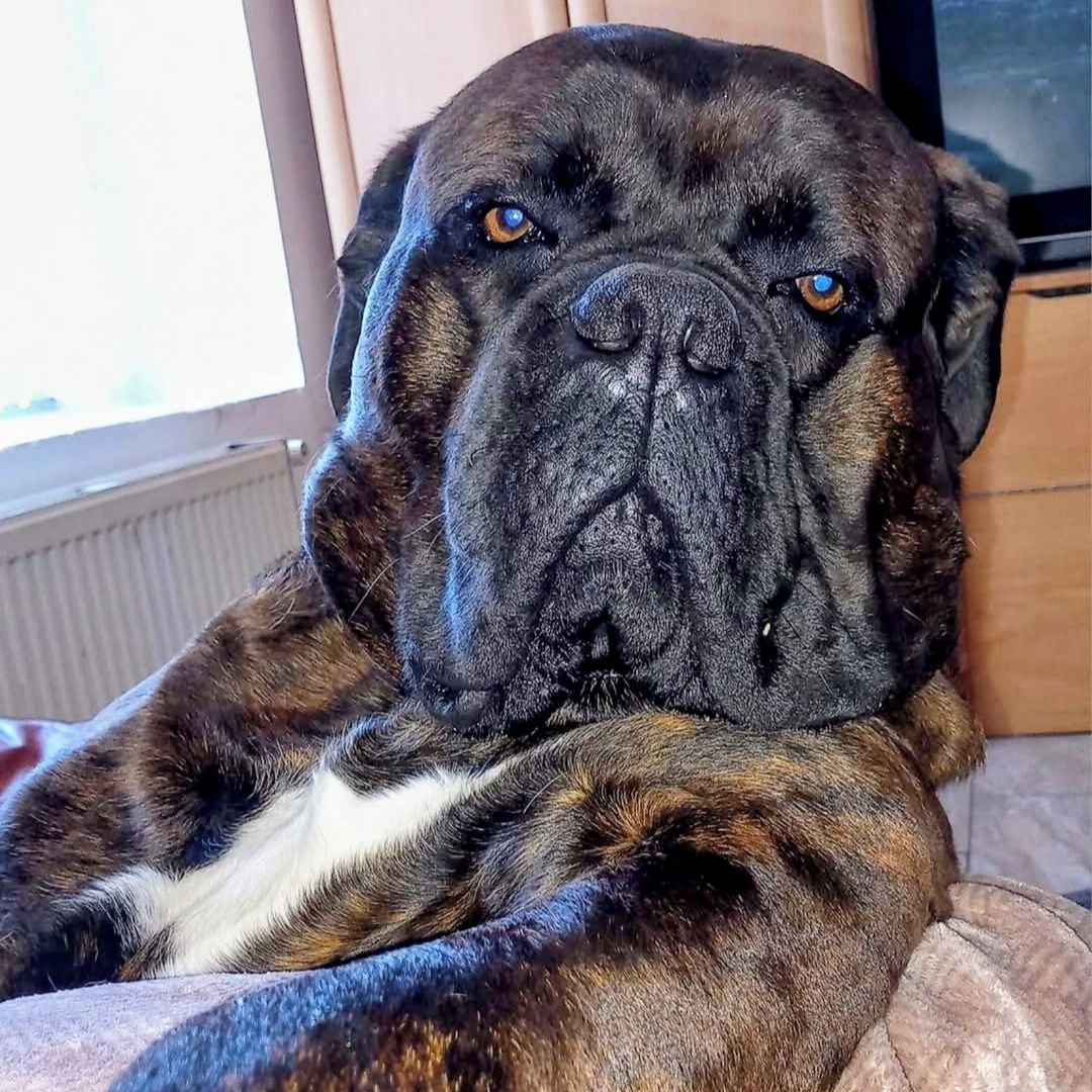 Soutěžní fotografie - Pan Božský,  Ostatní