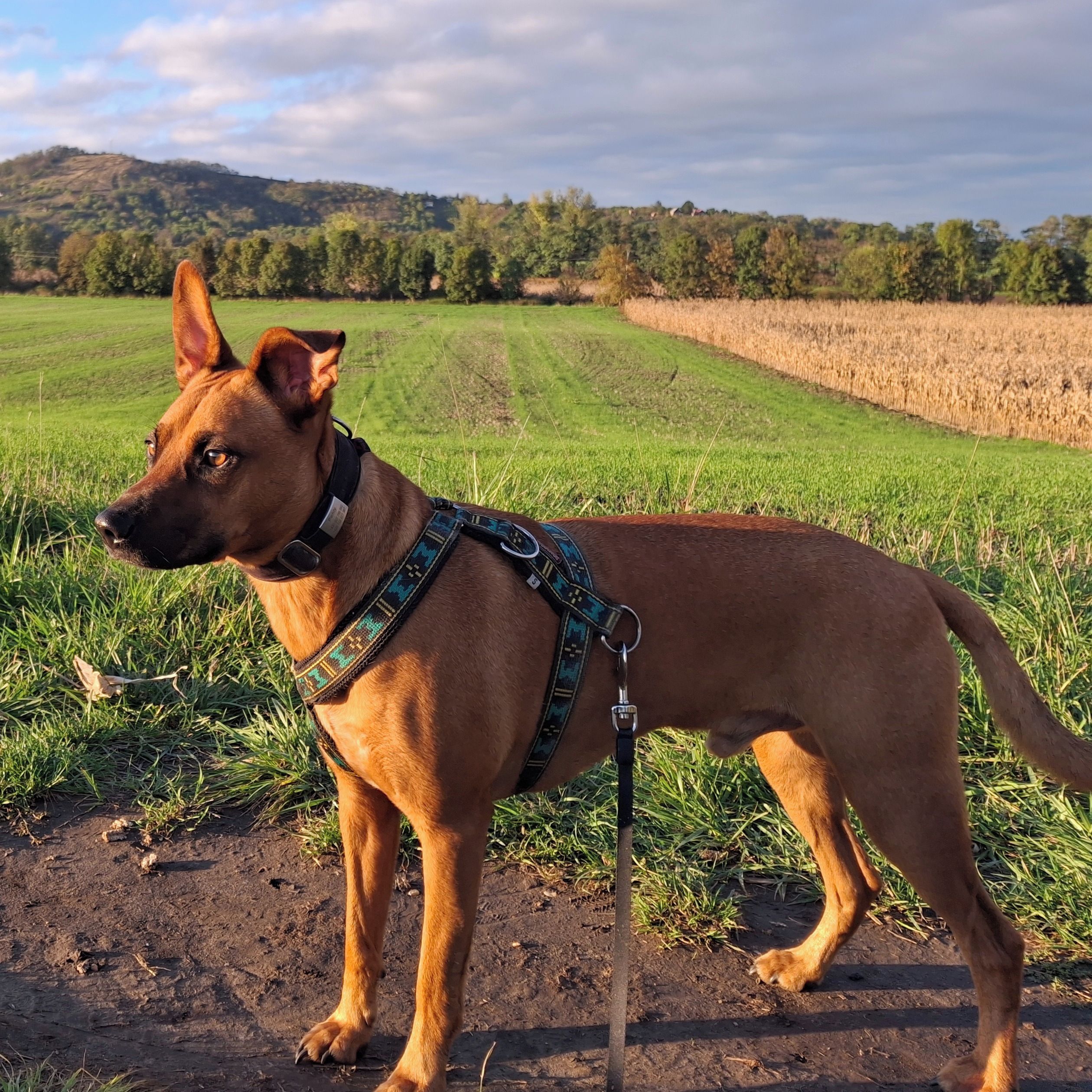 Soutěžní fotografie - Peddy,  Ostatní