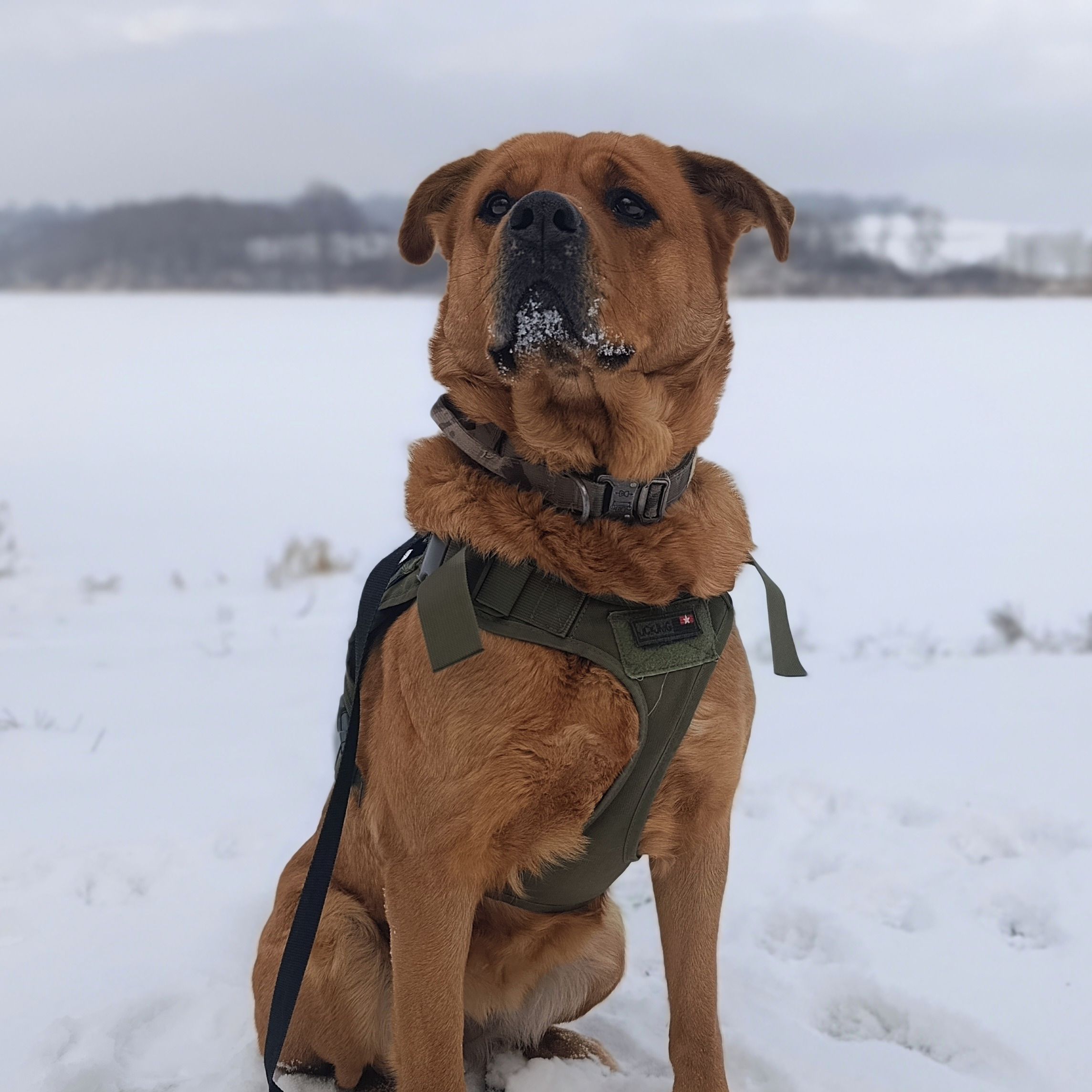 Soutěžní fotografie - Ami,  Ostatní