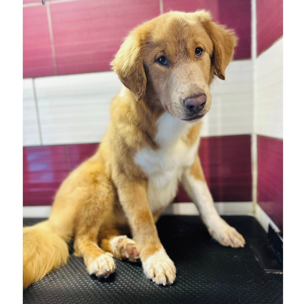 Soutěžní fotografie - EDO,  Ostatní