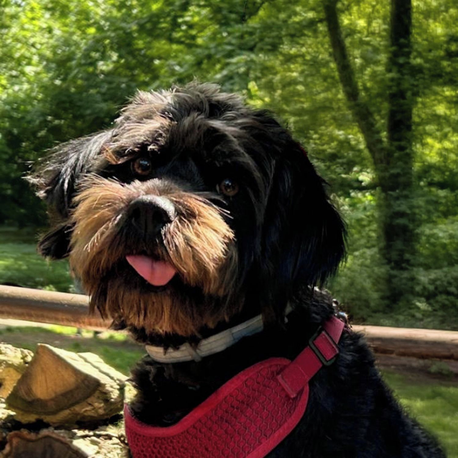 Soutěžní fotografie - Limeta,  Ostatní