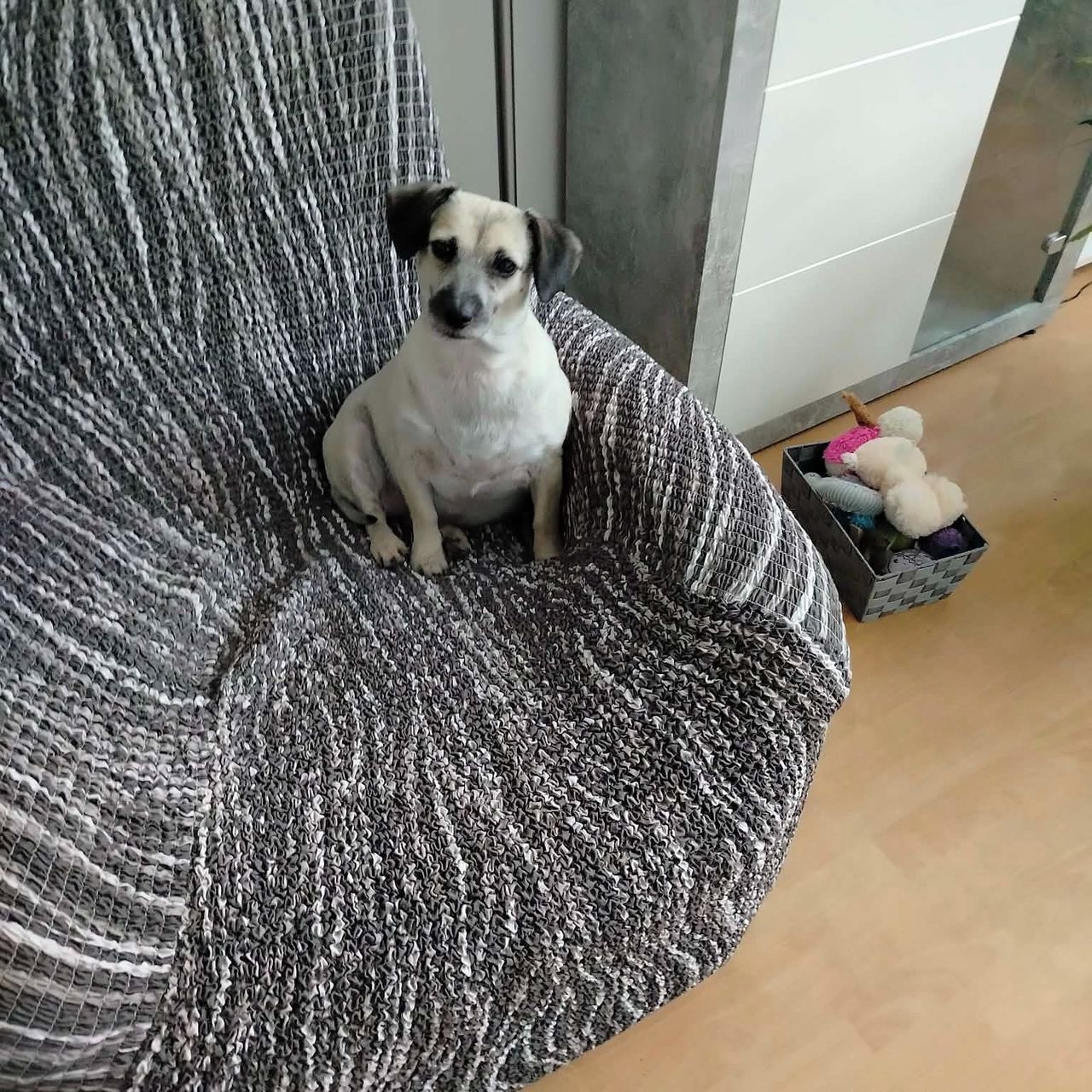 Soutěžní fotografie - Vendulka,  Ostatní