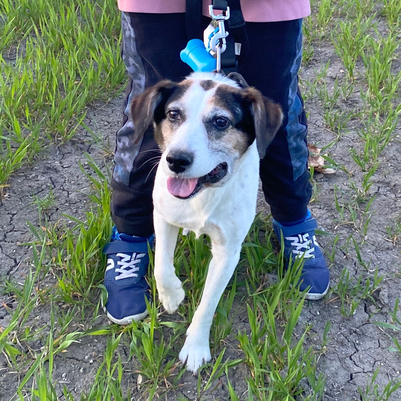 Soutěžní fotografie - Šíma,  Ostatní