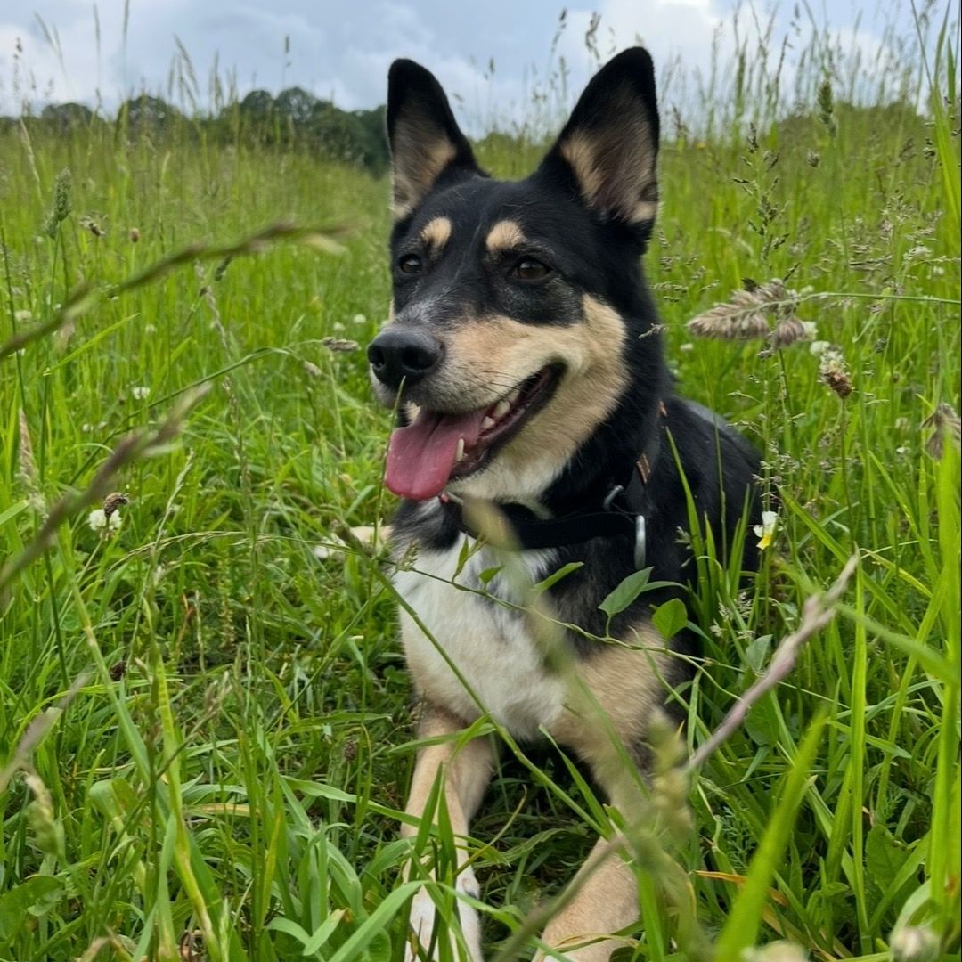 Soutěžní fotografie - Asta,  Ostatní