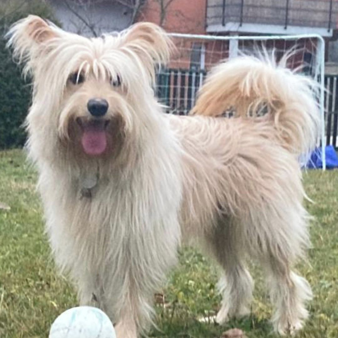 Soutěžní fotografie - CODY,  Ostatní