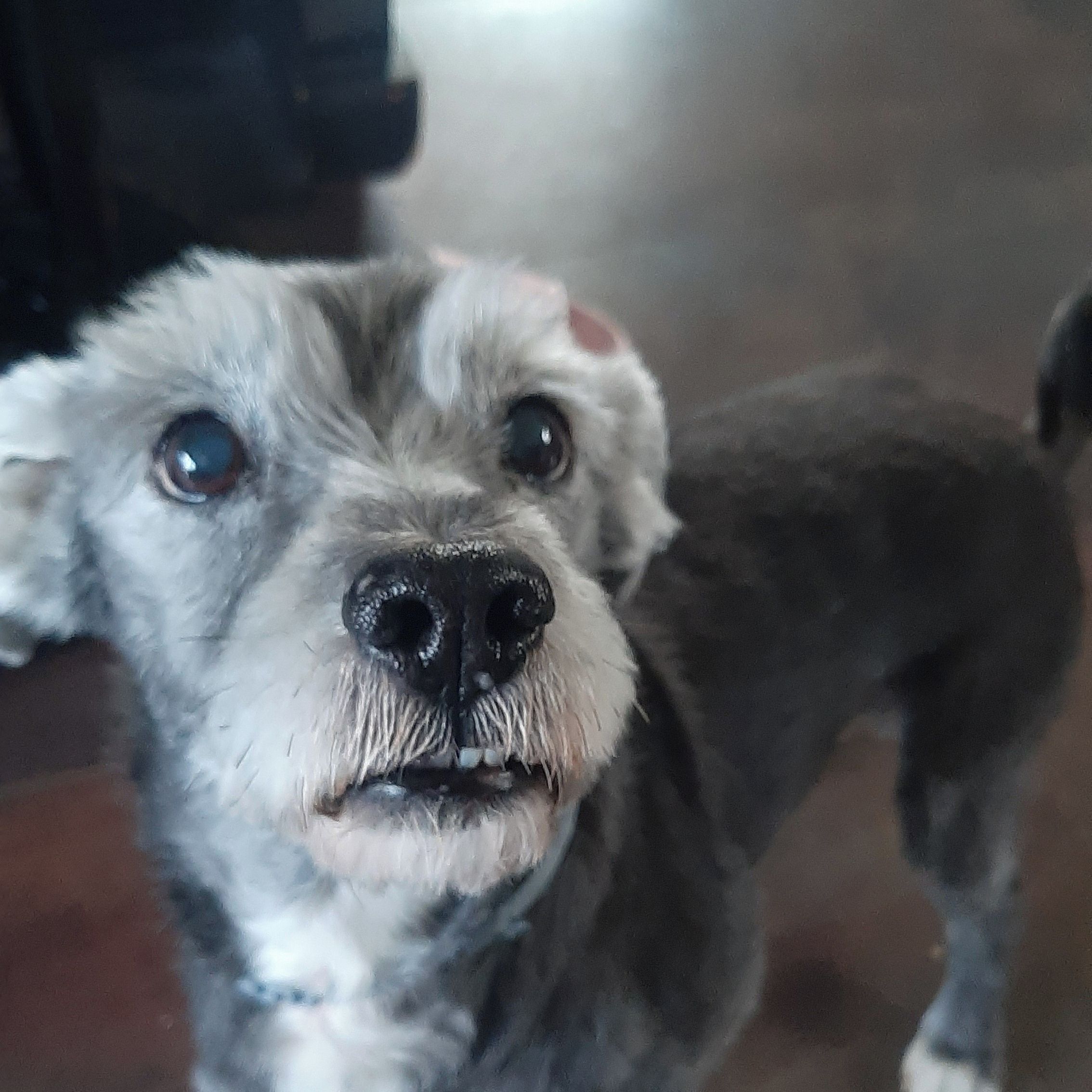 Soutěžní fotografie - Tedík,  Ostatní