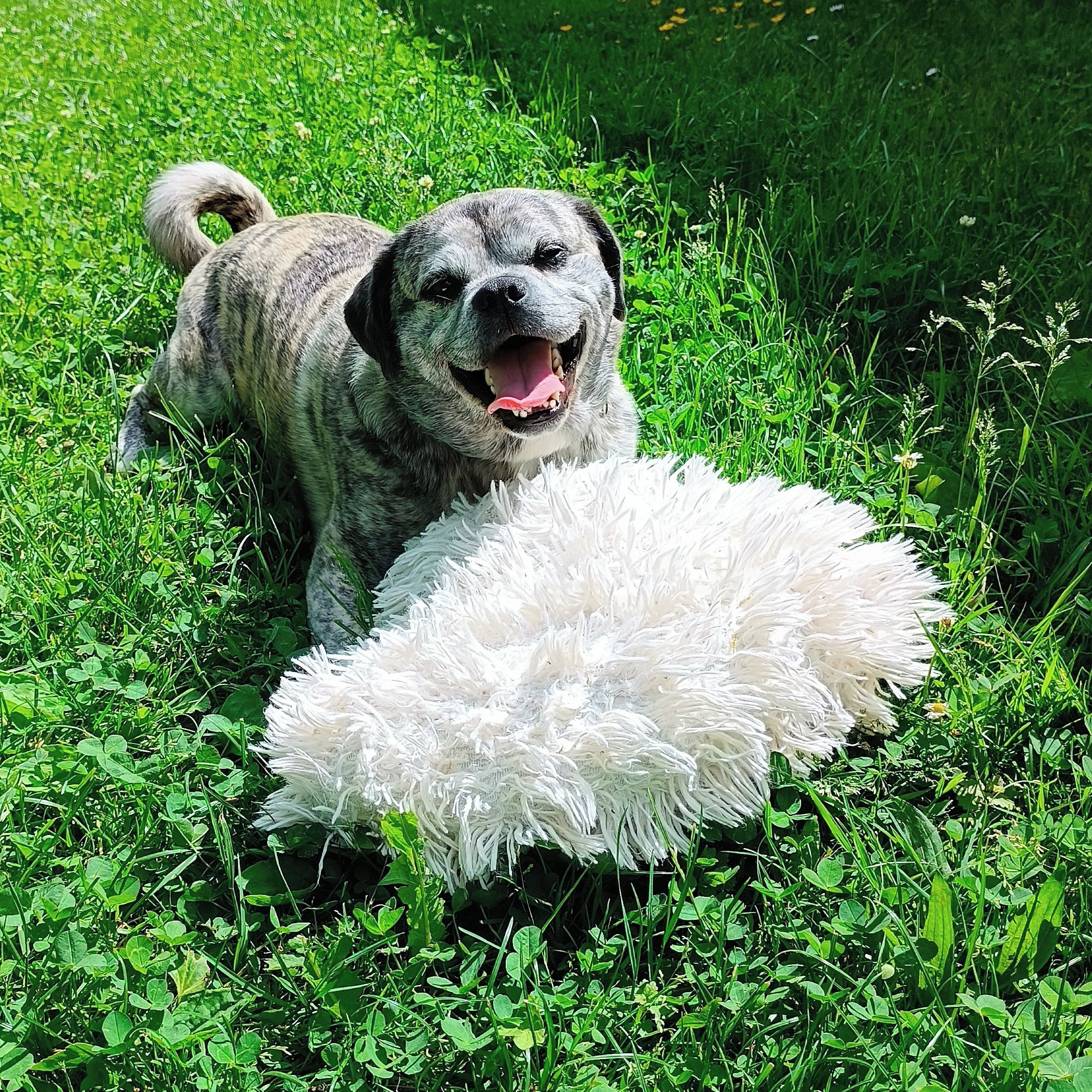 Soutěžní fotografie - Ťapík,  Ostatní
