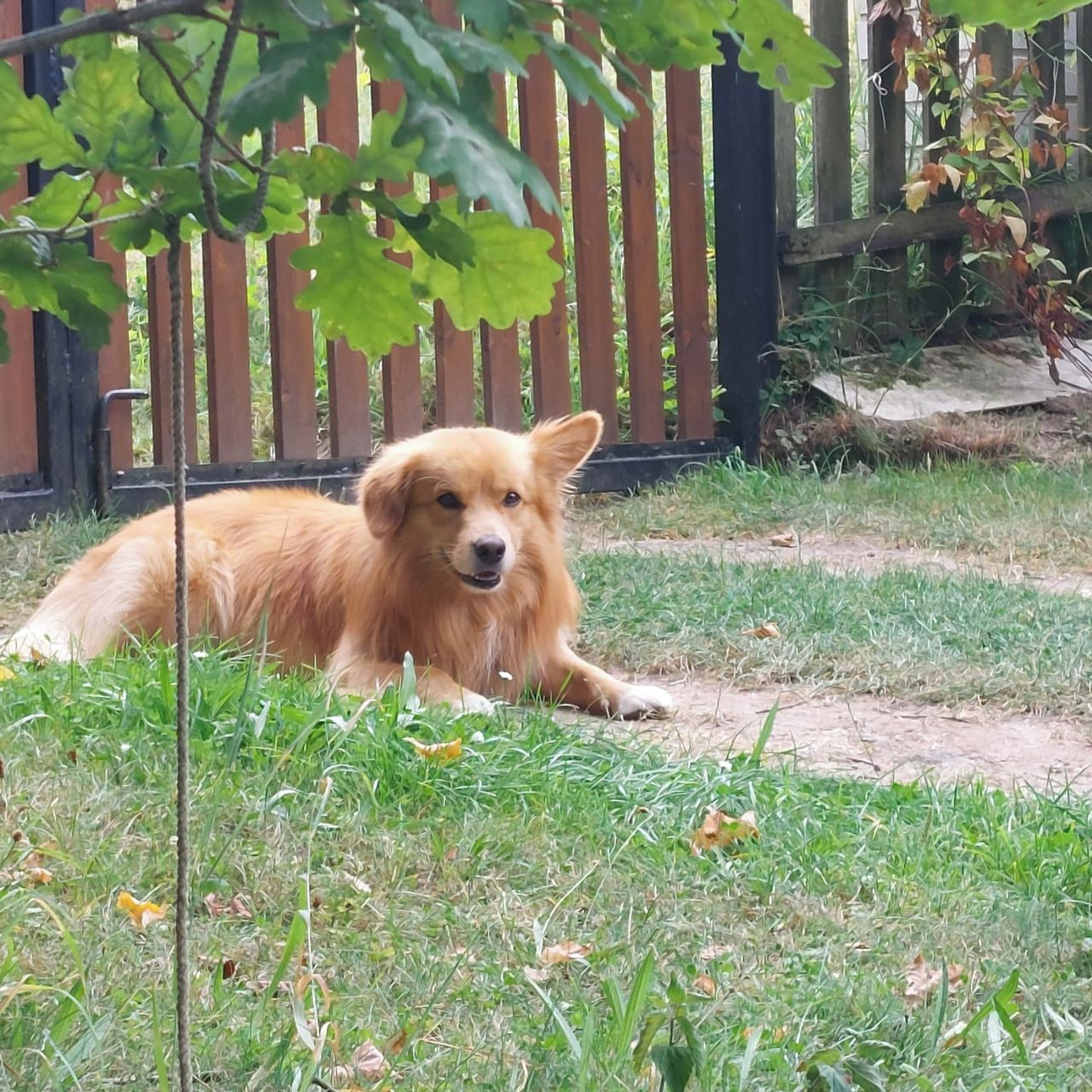 Soutěžní fotografie - Max,  Ostatní
