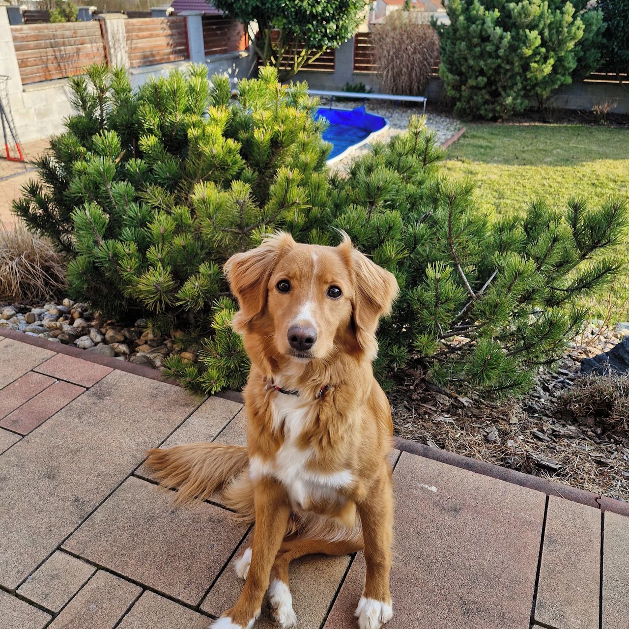 Soutěžní fotografie - Aira,  Ostatní