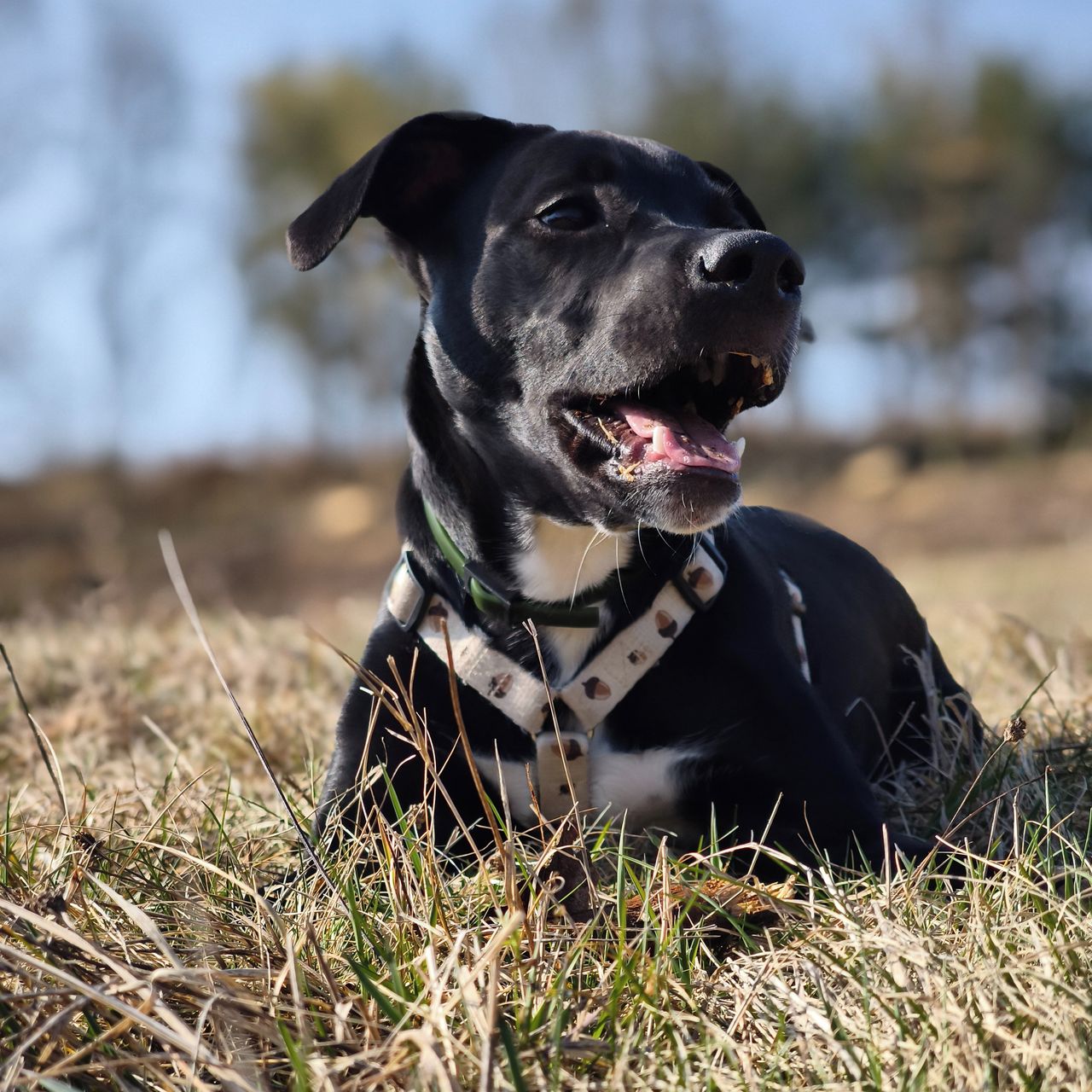 Soutěžní fotografie - Wytny,  Ostatní
