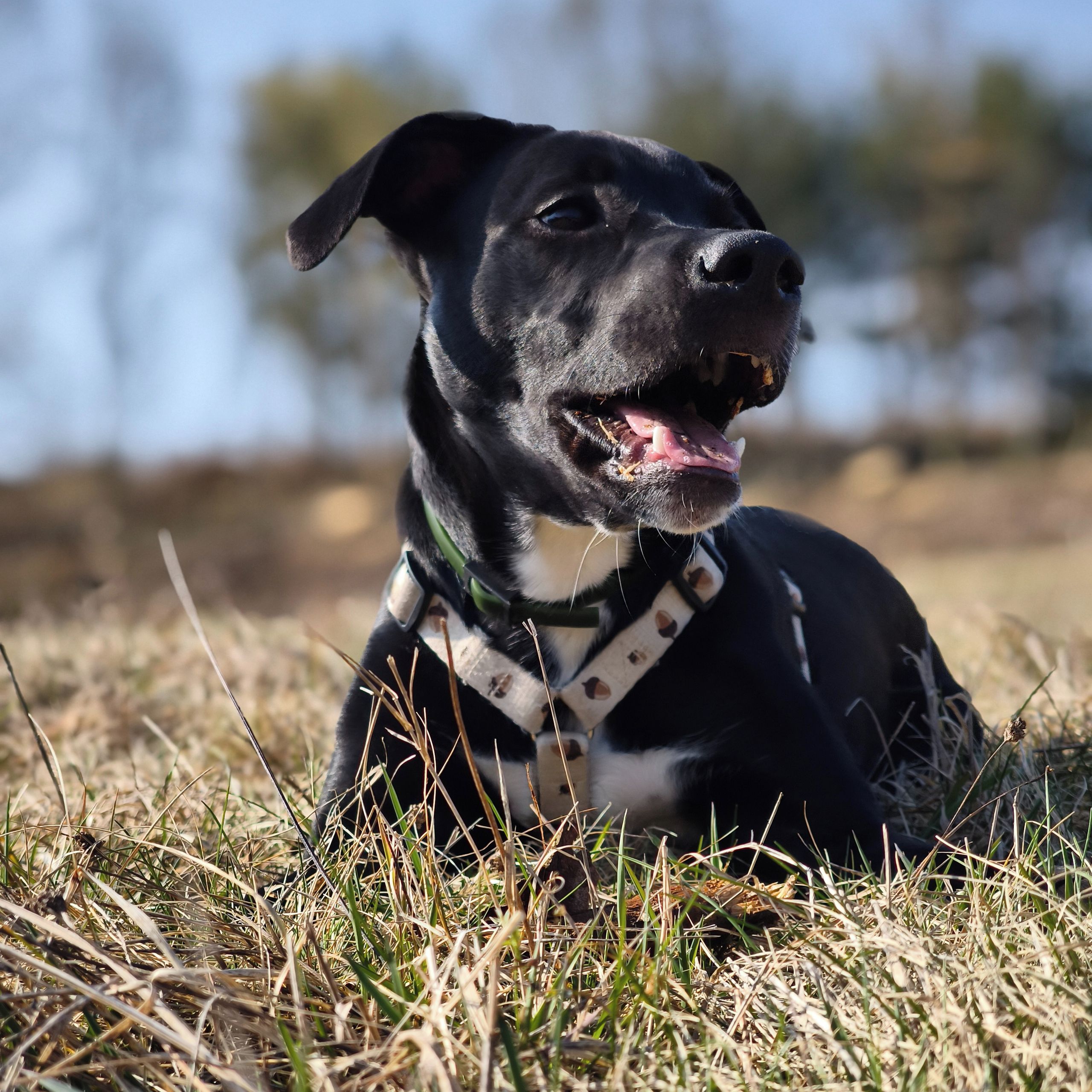 Soutěžní fotografie - Wytny,  Ostatní