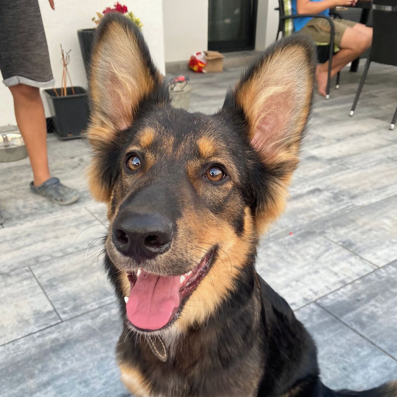 Soutěžní fotografie - Teddy,  Ostatní