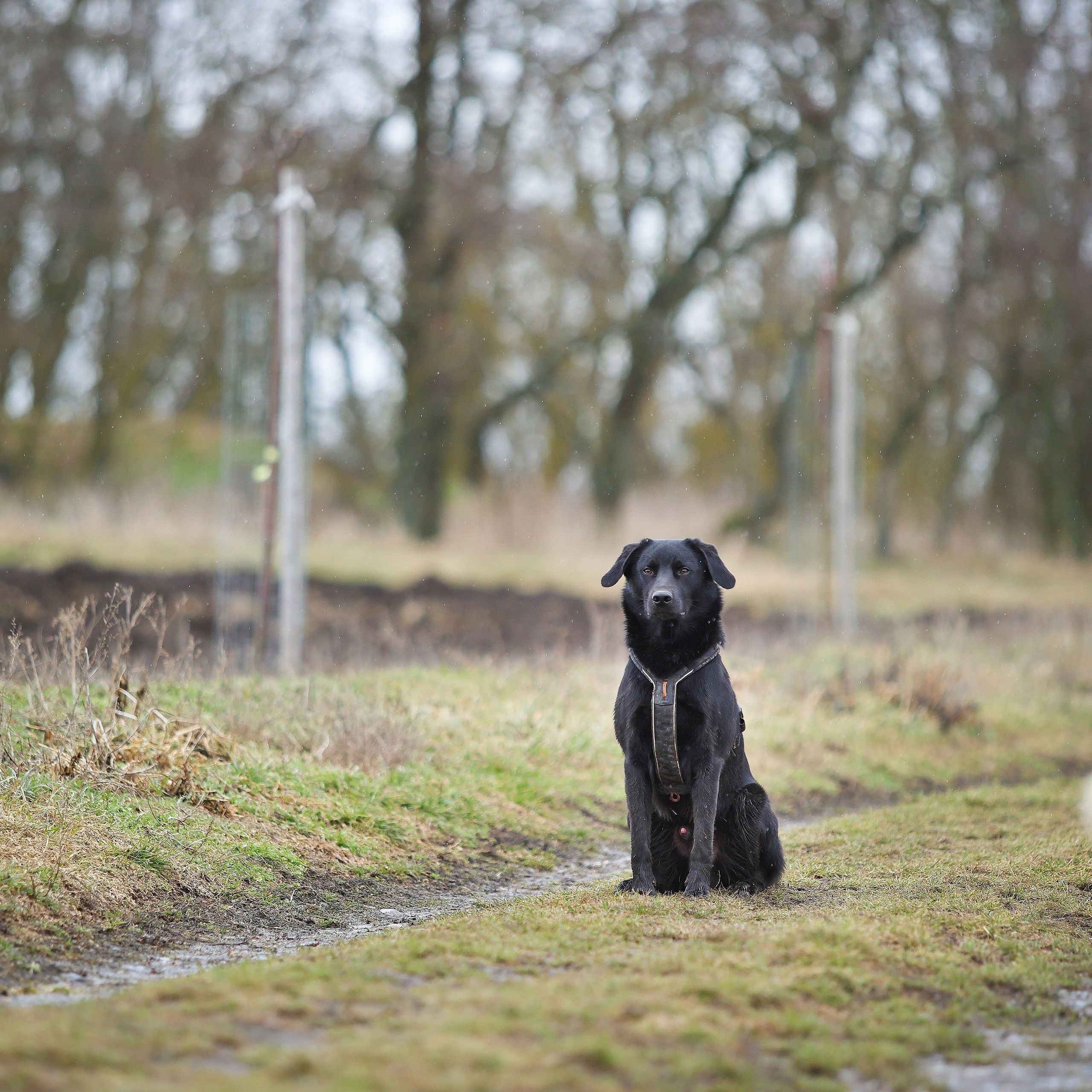 Soutěžní fotografie - Perry,  Ostatní