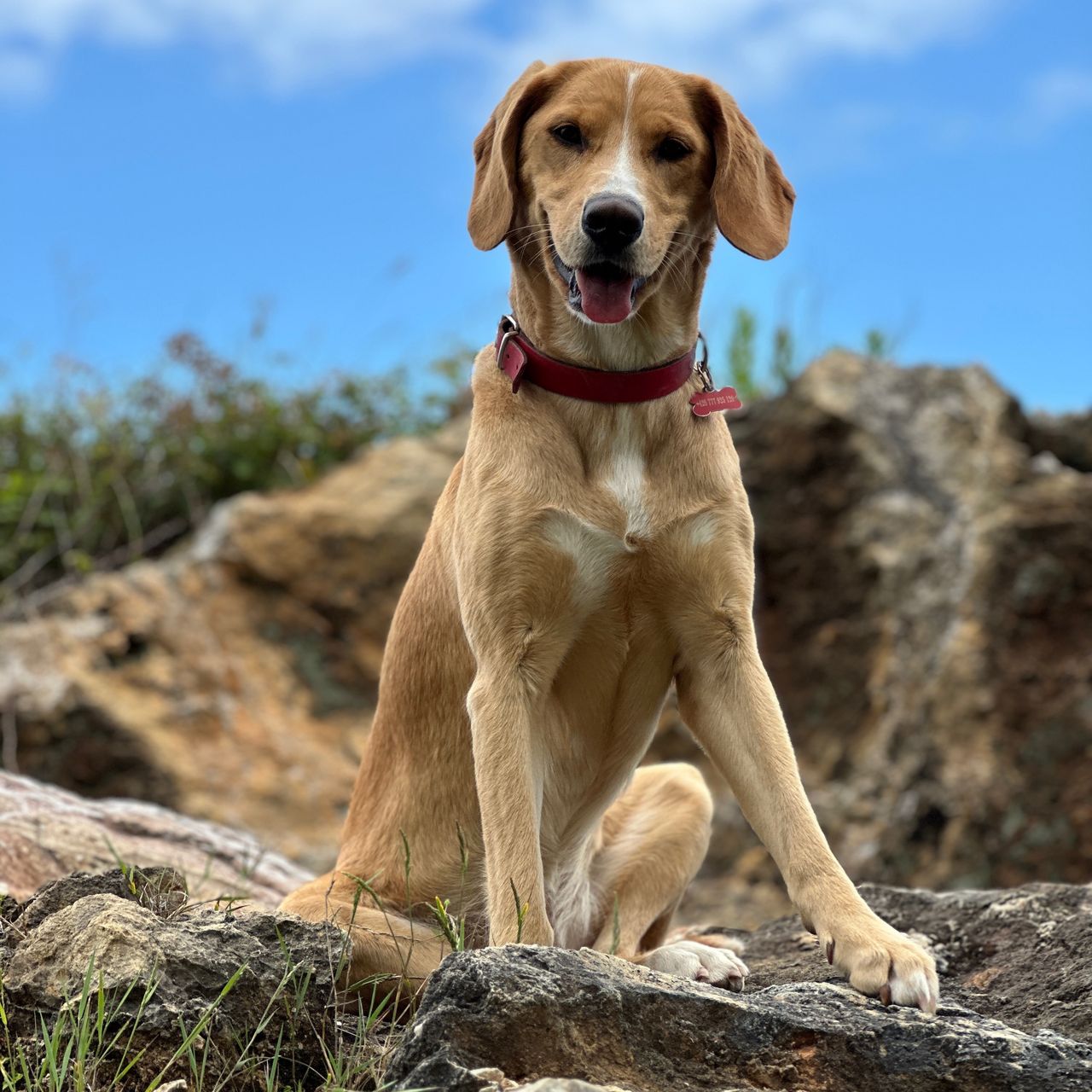 Soutěžní fotografie - Puntia,  Ostatní