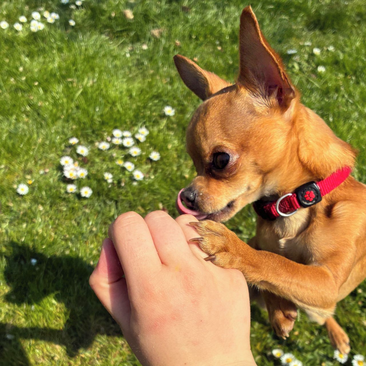 Soutěžní fotografie - Nik,  Ostatní