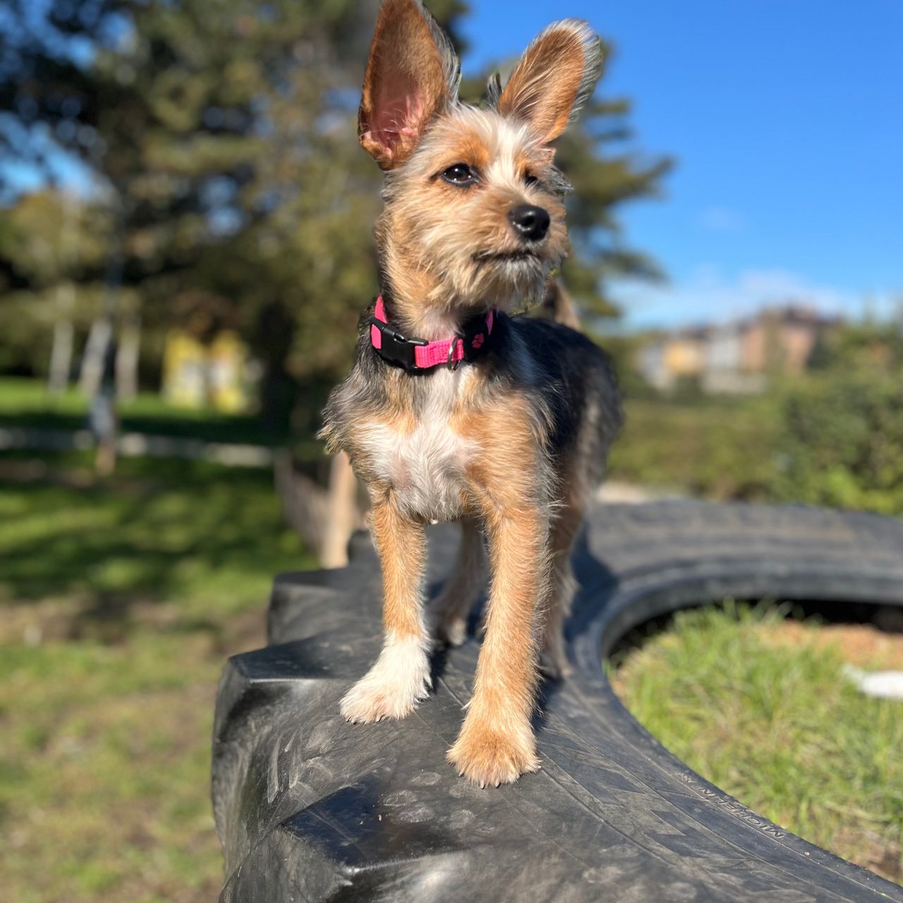 Soutěžní fotografie - Ponuška,  Ostatní