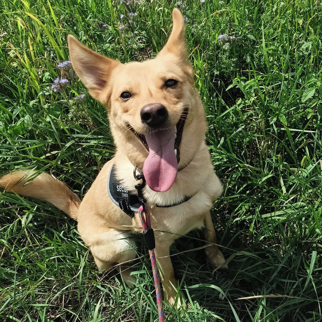 Soutěžní fotografie - Ellie,  Ostatní