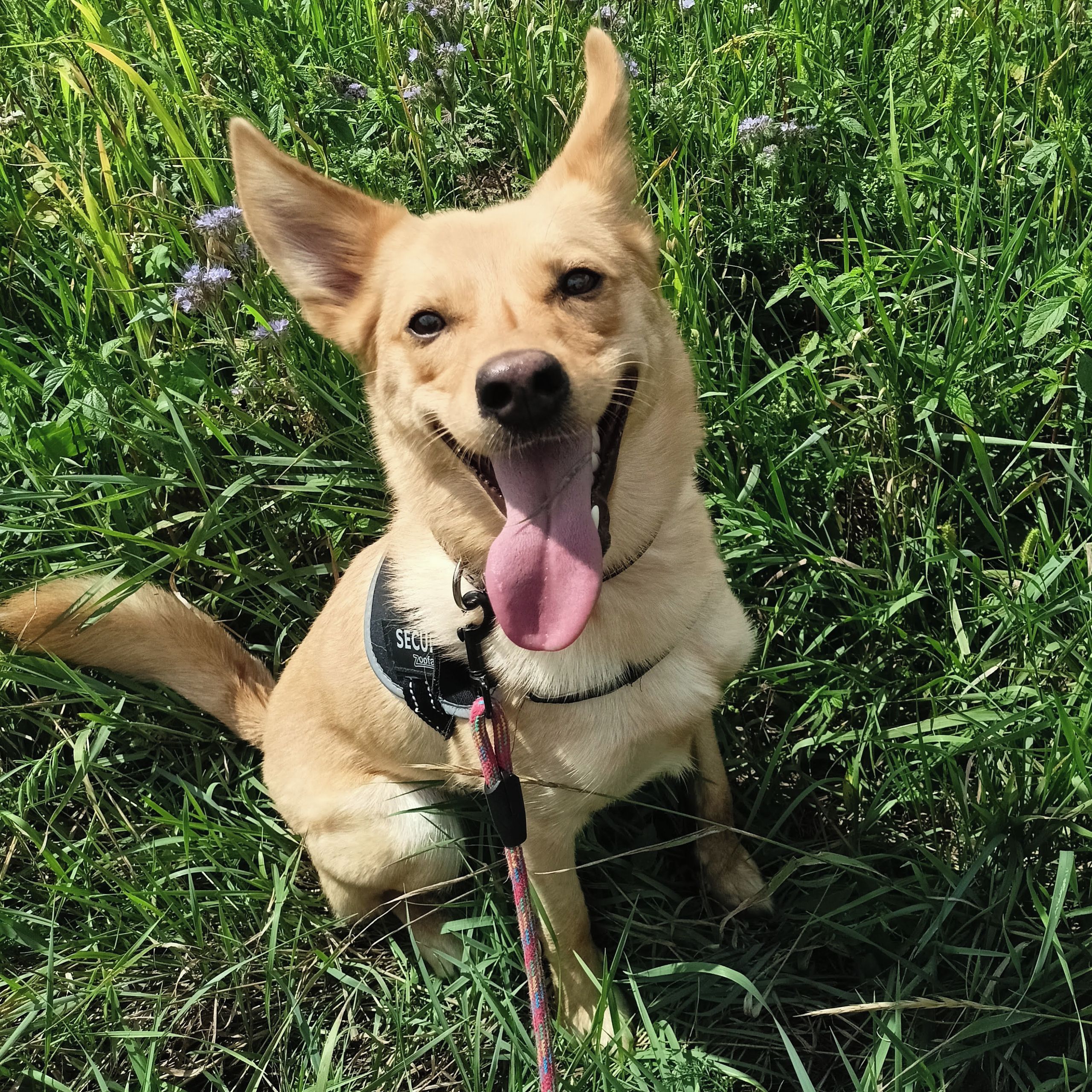 Soutěžní fotografie - Ellie,  Ostatní