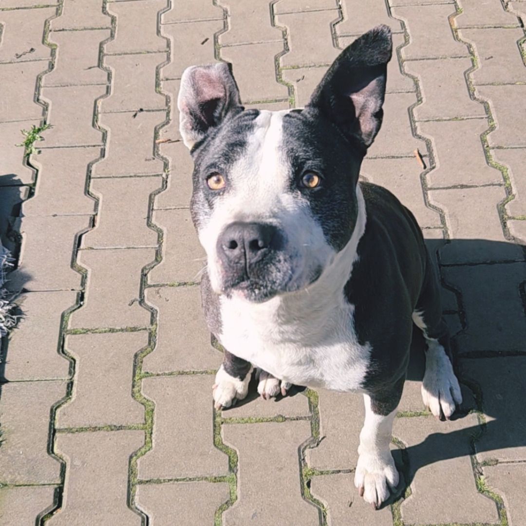 Soutěžní fotografie - Aron,  Ostatní