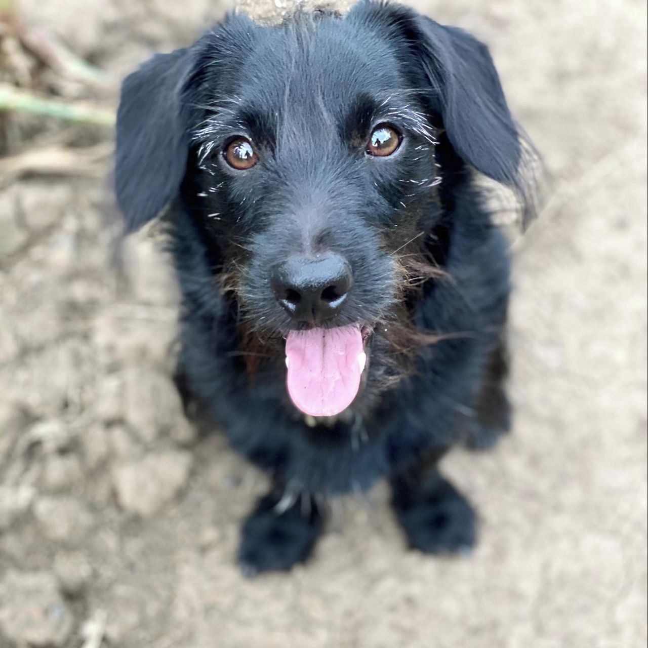 Soutěžní fotografie - Antonín,  Ostatní