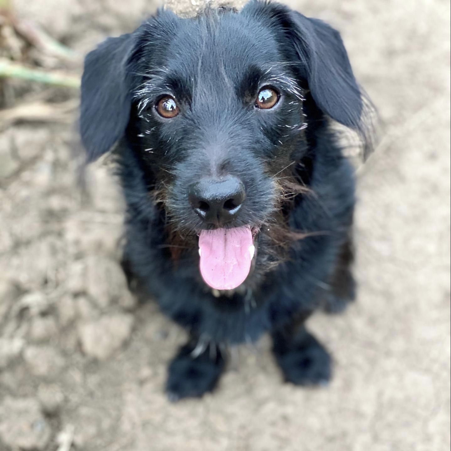 Soutěžní fotografie - Antonín,  Ostatní